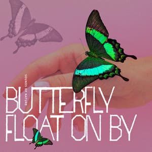 Butterfly Float On By - Sounds Of Nature