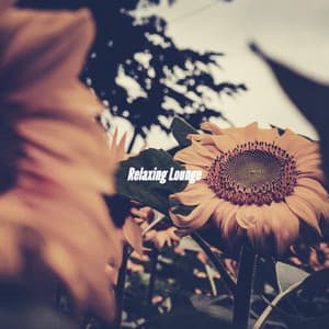 Relaxing Lounge - Coffee + Chill