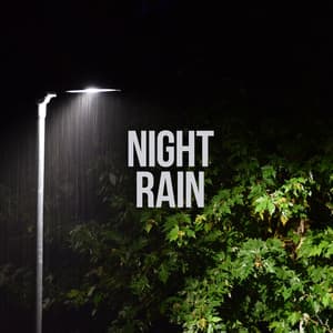 Night Rain - Nature on Record
