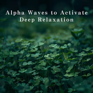Alpha Waves to Activate Deep Relaxation - Relax α Wave