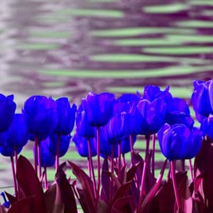 Bgm for Needful September - Calming Jazz Lounge