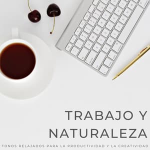 Trabajo Y Naturaleza: Tonos Relajados Para La Productividad Y La Creatividad - Acústica de la Naturaleza