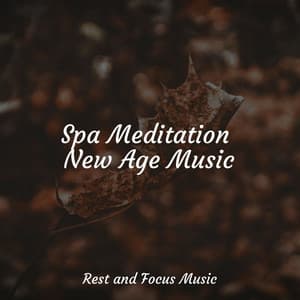 Spa Meditation New Age Music - Deep Focus