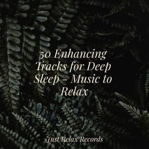50 Enhancing Tracks for Deep Sleep - Music to Relax - Reiki Music