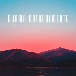 Durma Naturalmente - 15 Melodias Calmas para Dormir, para um Sono Profundo e Saudável, Música Delicada e sutil para Insônia e Problemas Adormecer - Sonidos de la Naturaleza para Dormir