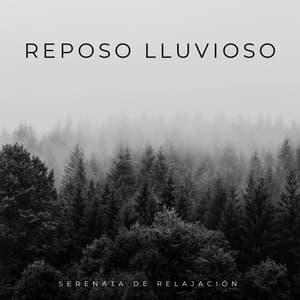 Reposo Lluvioso: Serenata De Relajación - Lluvia del Pacifico