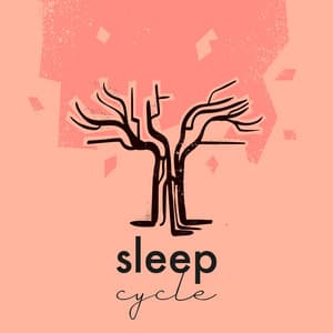 Energia Fluente: Ritmos de Yoga - Ciclo De Dormir