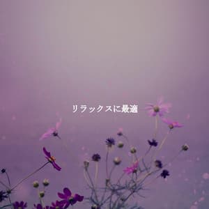 リラックスに最適 - Playlist for Early Morning Chill Out