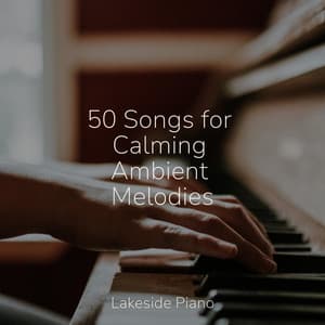 50 Songs for Calming Ambient Melodies - SD