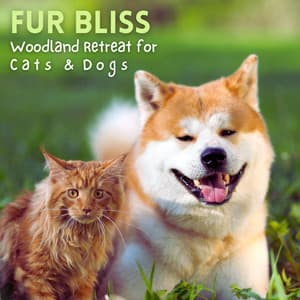Fur Bliss: Woodland Retreat for Cats and Dogs - Nature's Noise