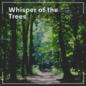 Whisper of the Trees - Inspiring Tranquil Sounds
