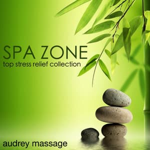 Spa Zone - Top Stress Relief Collection, Relaxing Tracks for Ayurvedic Healers and Mystics - Audrey Massage