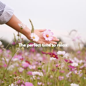 The perfect time to relax - Easy Sunday Morning Music