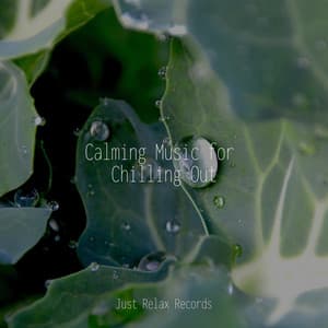 Calming Music for Chilling Out - Relaxing Mindfulness Meditation Relaxation Maestro
