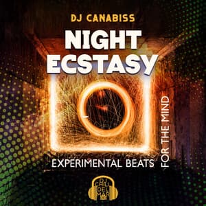 Night Ecstasy: Experimental Beats for the Mind - DJ Canabiss