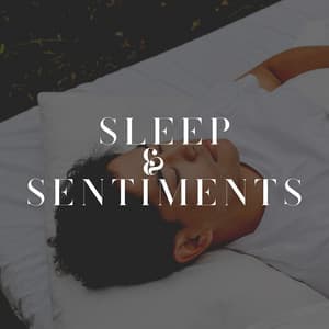 Sleep & Sentiments - The Sleep Principle