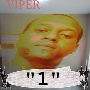 1 - Viper