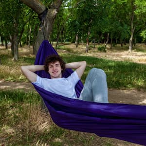 Tranquil Forest Escape: Birds and Nature's Relaxation Embrace - Sunday Evening Music