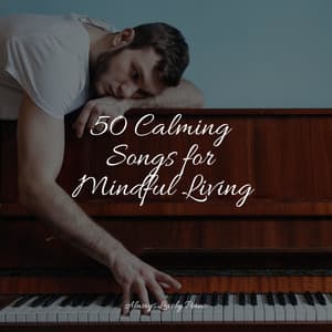 50 Calm Piano Pieces to Relax to - Background Piano Music.