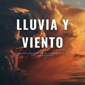 Lluvia Y Viento: Sonidos Suaves Para La Comodidad De Los Pájaros - Príncipe de la lluvia