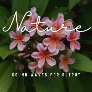 Efficient Work Grooves: Sound Waves for Output - Focus and Work