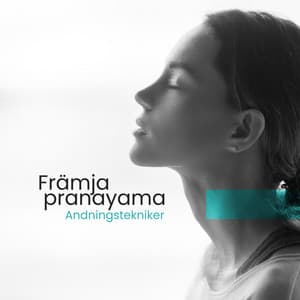 Främja pranayama – Andningstekniker - Zen Musik Akademi