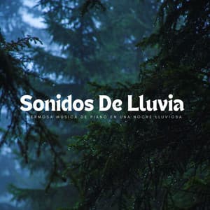 Sonidos De Lluvia: Hermosa Música De Piano En Una Noche Lluviosa - Lluvia Suena Dormir