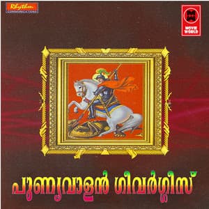 Punyavan Geevarghese - Binoy