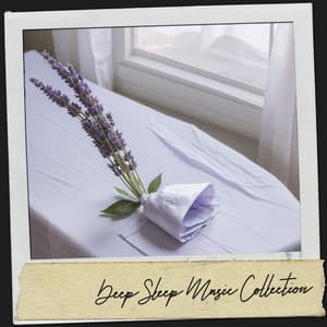 Spa Sleep Music: Moonlit Lullabies - Solfeggio Frequencies 528Hz