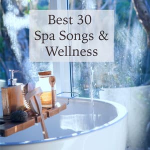 Best 30 Spa Songs & Wellness - Nature Ambient Chill & Oriental Lounge Wellness Music for Spa - Bangkok Zen Sound