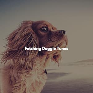 Fetching Doggie Tunes - Light Dinner Music