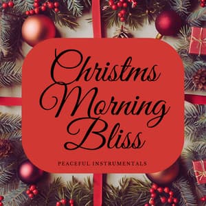 Christmas Morning Bliss: Peaceful Instrumentals - Acoustic Christmas Music Band