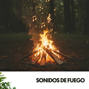 Sonidos de Fuego: Brazas del más allá - Cat Music