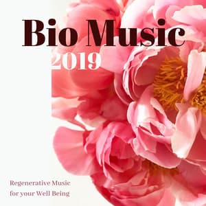 Bio Music 2019: Regenerative Music for your Well Being - Spa Music Collective
