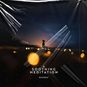A Soothing Meditation - Plumice