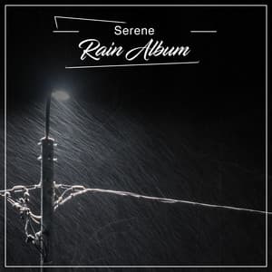 14 Serene Rain Album for Meditation - Nature Sounds for Relaxation and Sleep