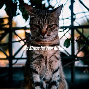 No Stress for Your Kitties - Jazz Sleeping Music