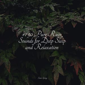 50 Best Winter Rain Tracks - Kundalini Yoga