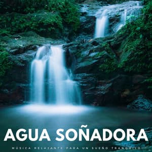 Agua Soñadora: Música Relajante Para Un Sueño Tranquilo - Los durmientes de agua