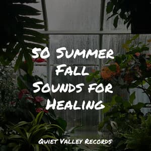 50 Summer Fall Sounds for Healing - The Sleep Specialist
