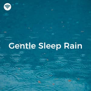 Gentle Sleep Rain - Rain WRLD