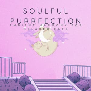 Soulful Purrfection: Ambient Harmony for Relaxed Cats - Reiki harmonia