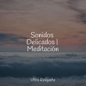 50 Pistas Relajantes Para la Curación en El Spa - Sueño Profundo