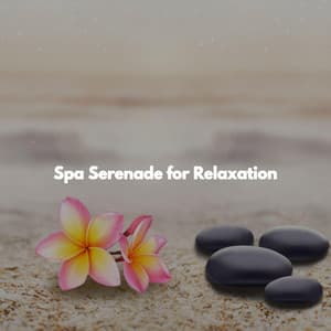 Spa Serenade for Relaxation - Tranquil Cove