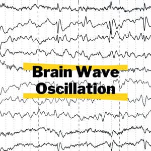 Brain Wave Oscillation - Brain Waves Therapy