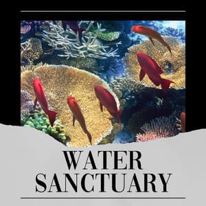 Water Sanctuary - Ocean Waves For Sleeping