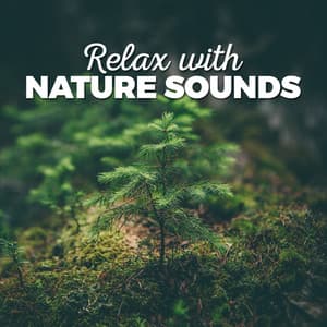 Relax with Nature Sounds - Ambiance nature