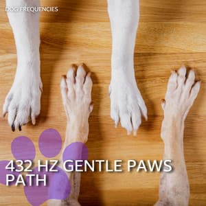 432 Hz Gentle Paws Path - Dog Frequencies