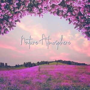 Nature Atmosphere: Relaxing Nature Sounds for Sleep, Meditation, Spa, Study - Calm Nature Oasis