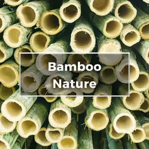 Bamboo Nature Flute - Nature's Frequencies